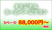 オリジナルホームページプラン