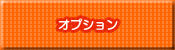 ホームページ制作オプション料金